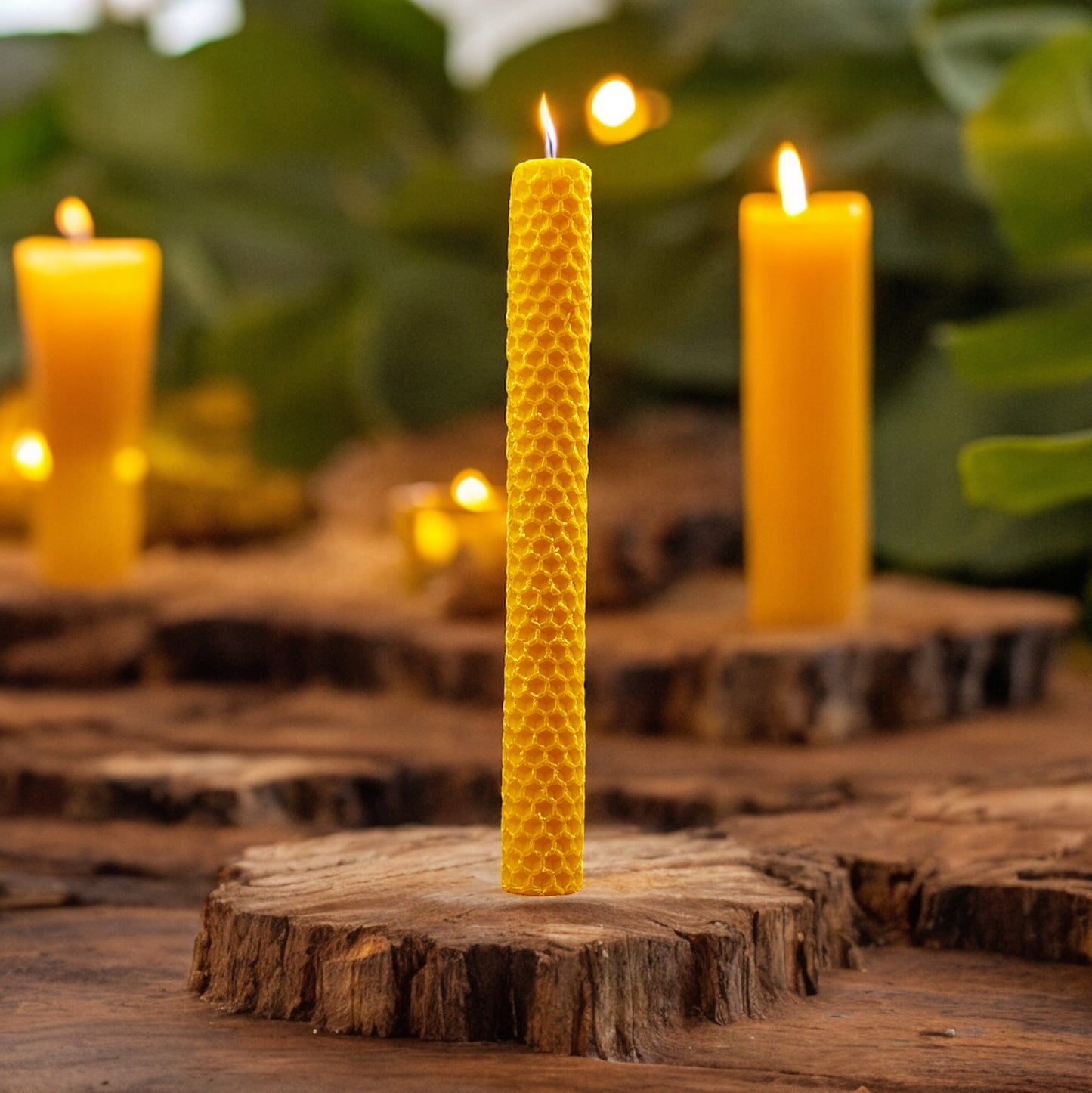 Vela de Miel de Panal Grande