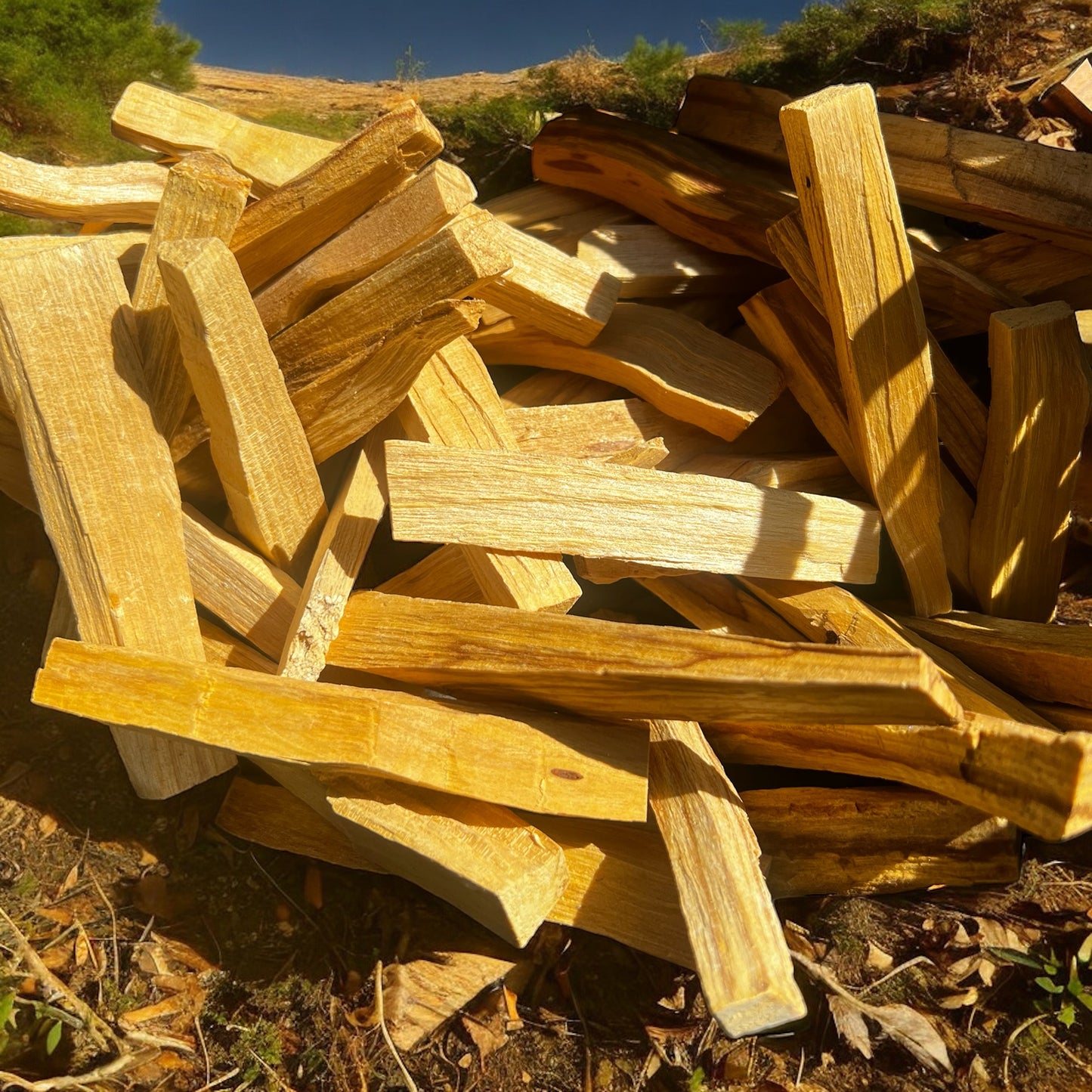 1 kilo de Palo Santo