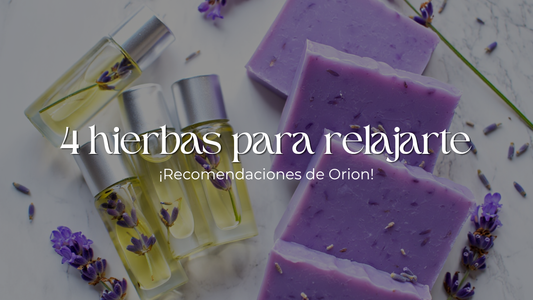 4 hierbas naturales para relajarte y reconectar contigo